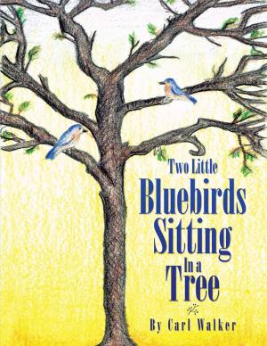 Cover of the book Two Little Bluebirds Sitting in a Tree by Adam Jameson