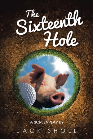 Cover of the book The Sixteenth Hole by Per Holbo