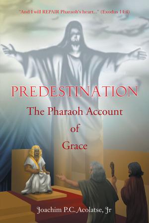 Cover of the book Predestination:The Pharaoh Account of Grace by D. Gordon Rohman