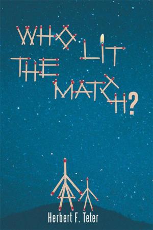 Cover of the book Who Lit the Match? by Gerard Vernot PhD