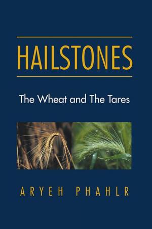 Cover of the book Hailstones by Frank Knittel