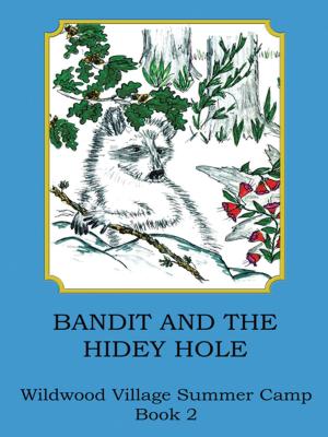 Cover of the book Bandit and the Hidey Hole by David T. Peckham