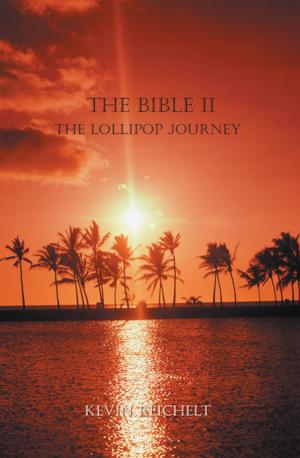 Cover of the book The Bible Ii by M. Bradley Davis
