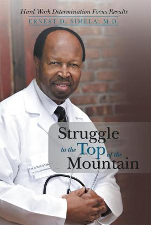 Cover of the book Struggle to the Top of the Mountain by Noorjahan Ghazi