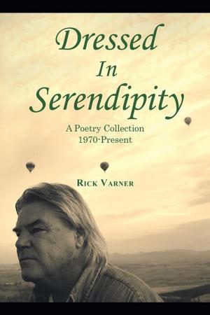 bigCover of the book Dressed in Serendipity by 