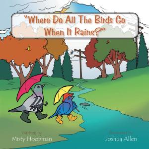 Cover of the book Where Do All the Birds Go When It Rains? by DeROY