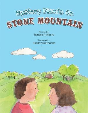 bigCover of the book Mystery Picnic on Stone Mountain by 
