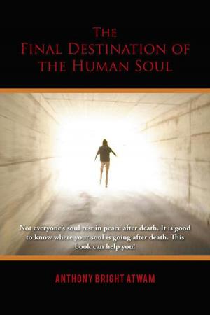Book cover of The Final Destination of the Human Soul