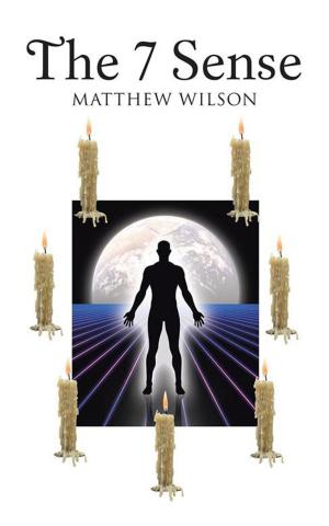 Book cover of The 7 Sense