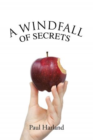 Cover of the book A Windfall of Secrets by Mwange Kauseni