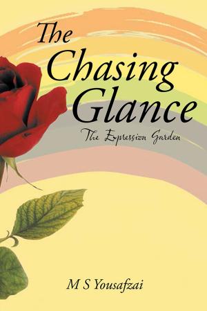 Book cover of The Chasing Glance