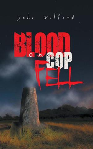 Cover of the book Blood on Cop Fell by Garnett Reed Boggs