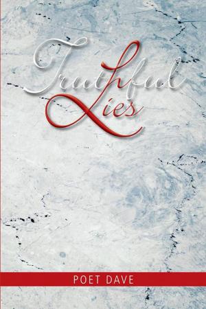 Cover of the book Truthful Lies by Melody Lemond