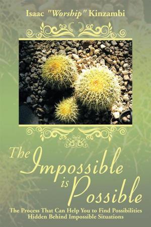 Cover of the book The Impossible Is Possible by Chris Taylor