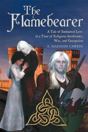 Cover of the book The Flamebearer by Adrian Night