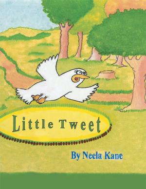 Cover of the book Little Tweet by Keith Halliburton