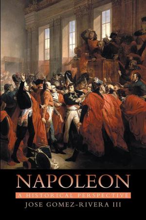 Cover of the book Napoleon: a Historical Perspective by David Meltzer