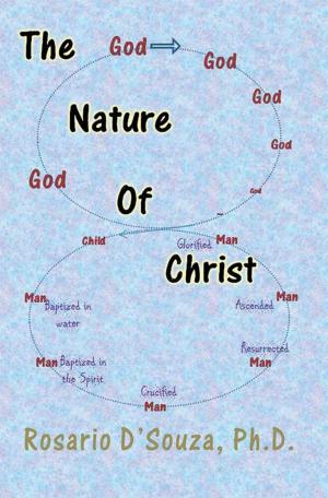 Cover of the book The Nature of Christ by Freddy Davis