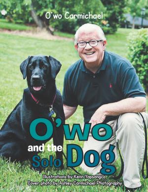 Cover of the book O’Wo and the Solo Dog by Desmond Keenan