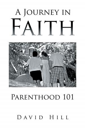 Cover of the book A Journey in Faith Parenthood 101 by Haneef Nelson