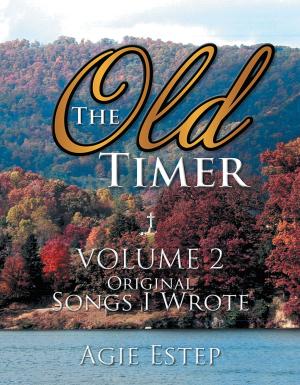Cover of the book The Old Timer Volume 2 by Chaplain Lance Dixon