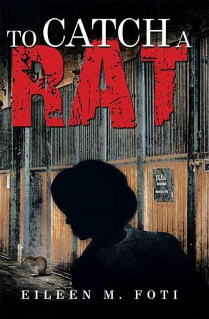 Cover of the book To Catch a Rat by Nicole Alyse Dorman