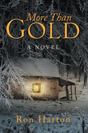 Cover of the book More Than Gold by Donnie W. Cooper