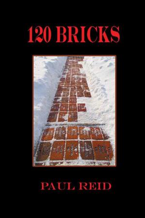 Cover of the book 120 Bricks by Pastor Dr. Ayo Laleye Ph.D D-CPC