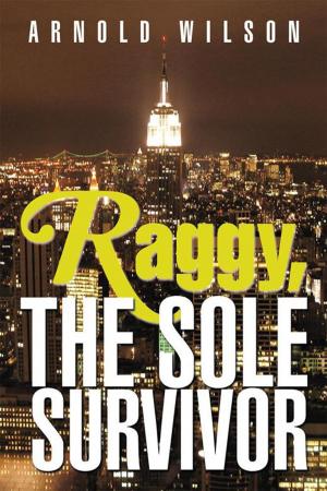 Cover of the book Raggy, the Sole Survivor by John T. Wayne