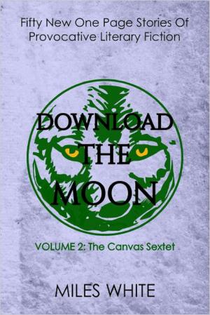 Cover of the book Download the Moon by M A Haridy
