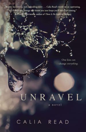 Cover of the book Unravel by Elizabeth Adler