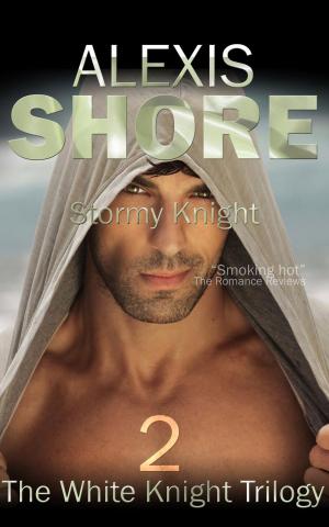 bigCover of the book Stormy Knight by 