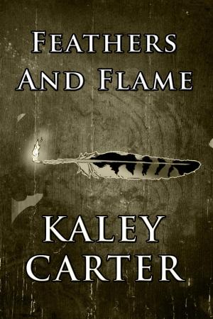 Cover of the book Feathers and Flame by Jennifer Roush