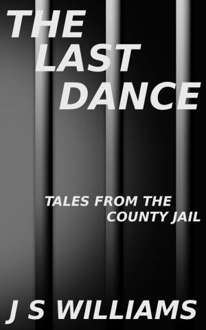 bigCover of the book The Last Dance by 