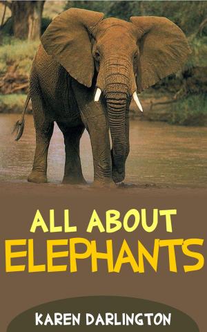 Cover of the book All About Elephants by Karen Darlington