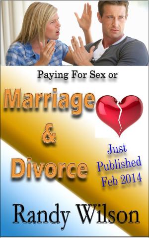 Cover of the book Marriage & Divorce by Sheridan Scott, B. K. Sherer, Donna Lyons