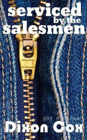 Cover of the book Serviced By The Salesmen by Cindy Cumby