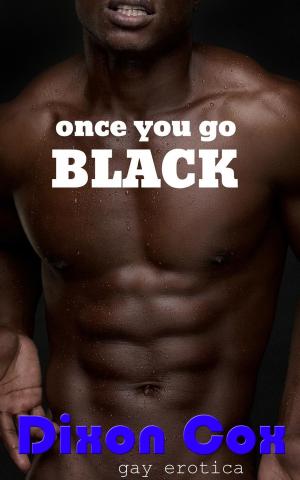 Cover of the book Once You Go Black... by Candi Smuts