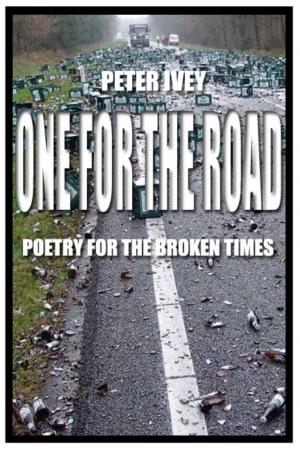 Cover of the book One for the Road: Poetry for the Broken Times by Sheila Murray-Nellis