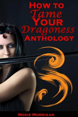 Cover of the book How to Tame Your Dragoness Anthology by VZ Fauchard