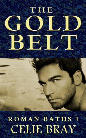 Cover of the book The Gold Belt by Deborah Taylor