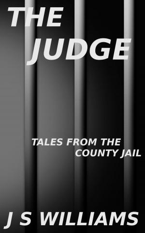 Cover of the book The Judge by Christian Becquet