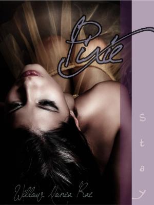 Book cover of Stay (Pixie #3)