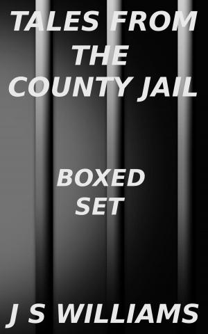 Cover of the book Tales From the County Jail Box Set by John Gregory Betancourt