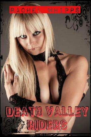 Book cover of Death Valley Riders (Erotic Biker Romance)