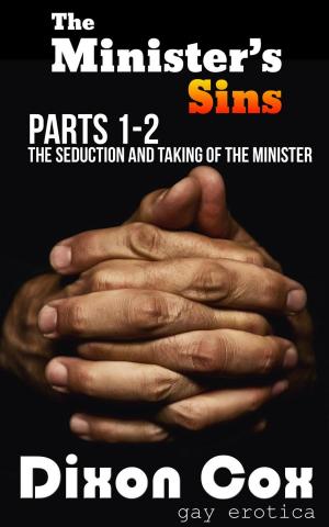Cover of the book The Minister's Sins - The Seduction and Taking of the Minister by Anna Belle