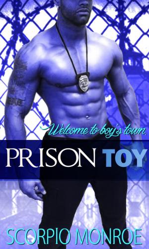 Cover of the book Prison Toy by Barbra Novac
