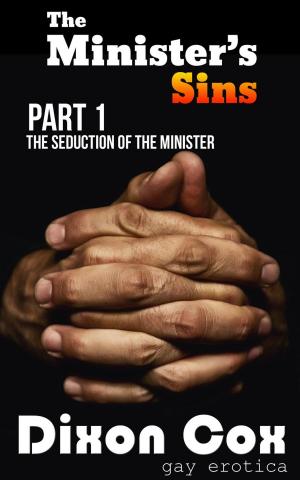 Cover of the book The Seduction of the Minister by Candi Smuts