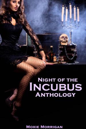 Cover of the book Night of the Incubus Anthology by Joseph Messinger, Caroline Messinger