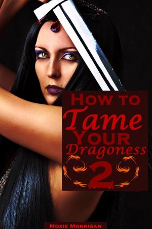 Book cover of How to Tame Your Dragoness 2